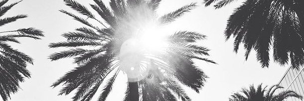 CamilaRobl's profile banner image