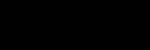 Yans banner