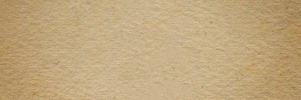 injunoona Profile Banner