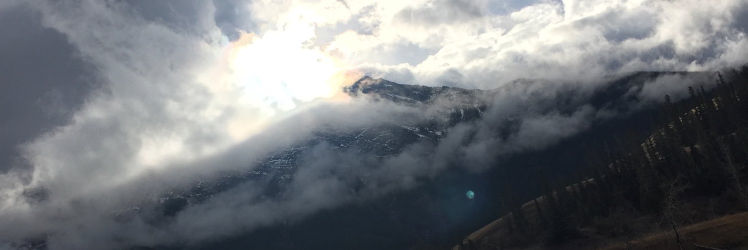HowlerZ3r0's profile banner image