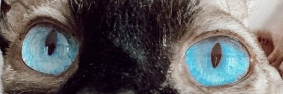 andr3aDrei's profile banner image