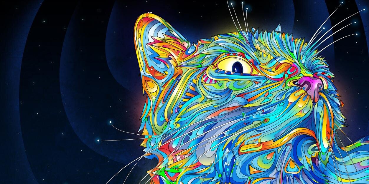 aerrrreaer's profile banner image