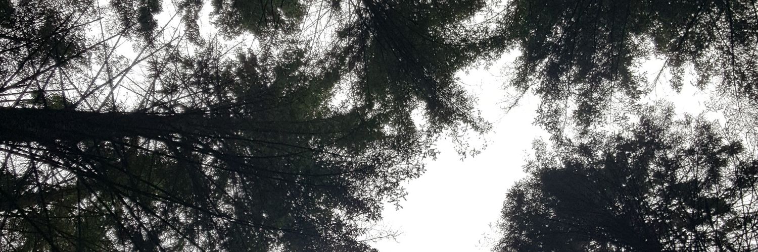 berfaann's profile banner image
