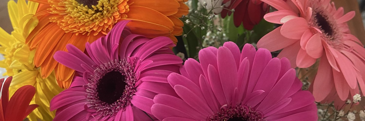 adriana esquivel banner