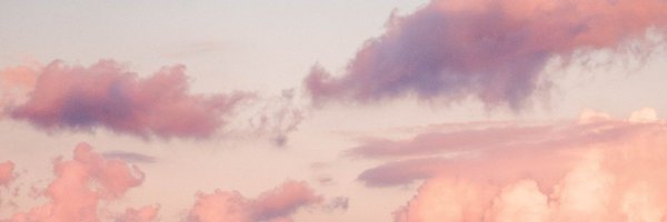 revszy Profile Banner