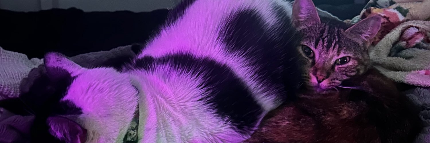 tfthayzao's profile banner image