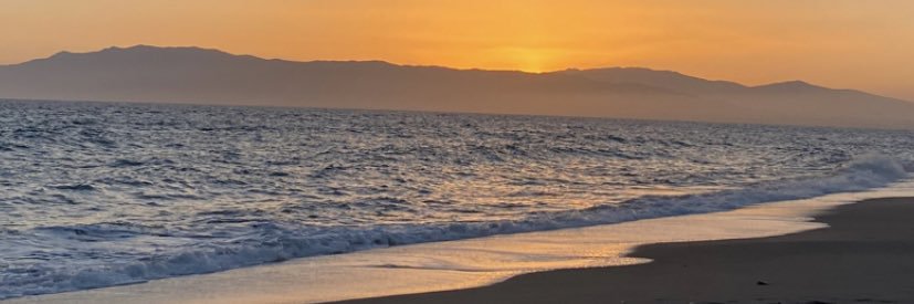 Laurita🐣 banner