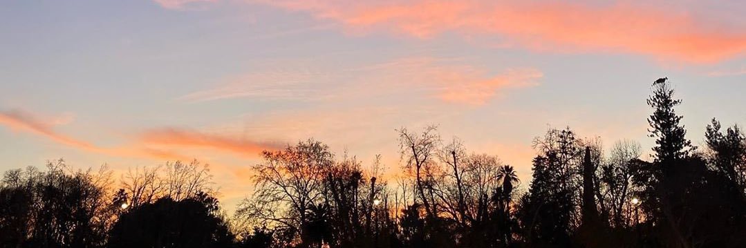 👾 banner