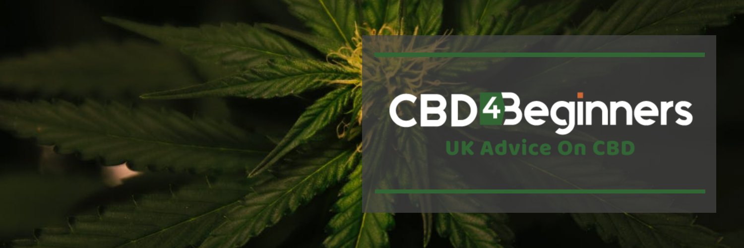 CBD4Beginners banner