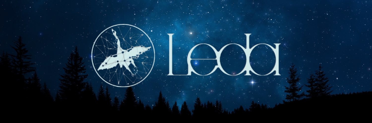 Leda Information's banner