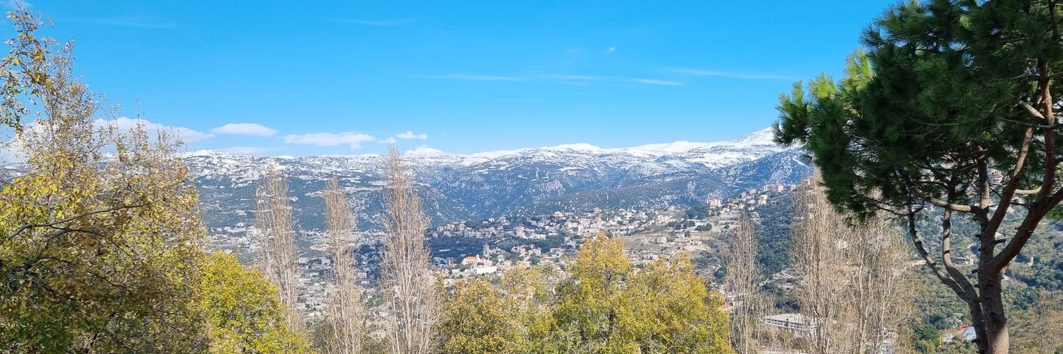 ADELCHIDIAC's profile banner image