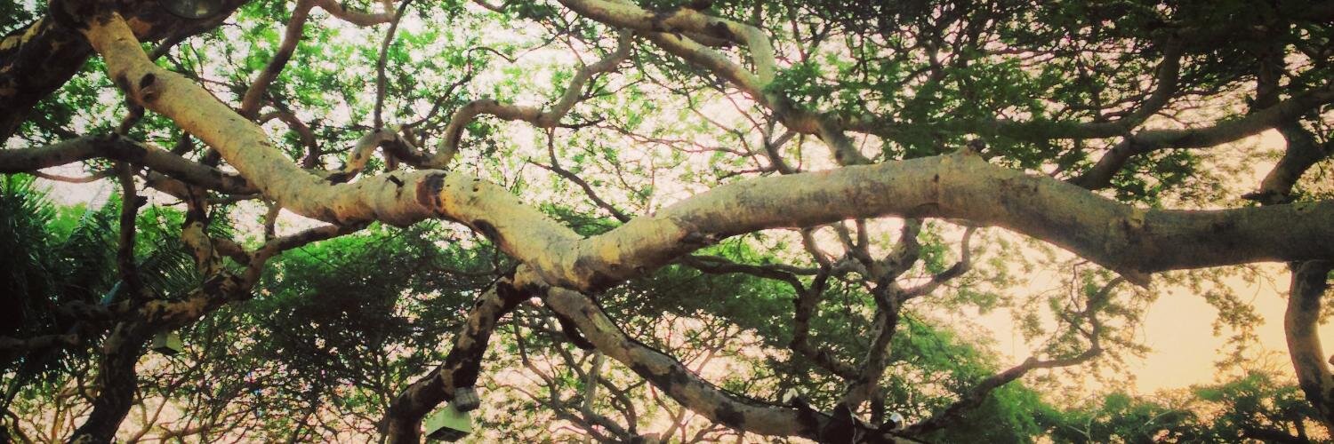 HannahBish_'s profile banner image