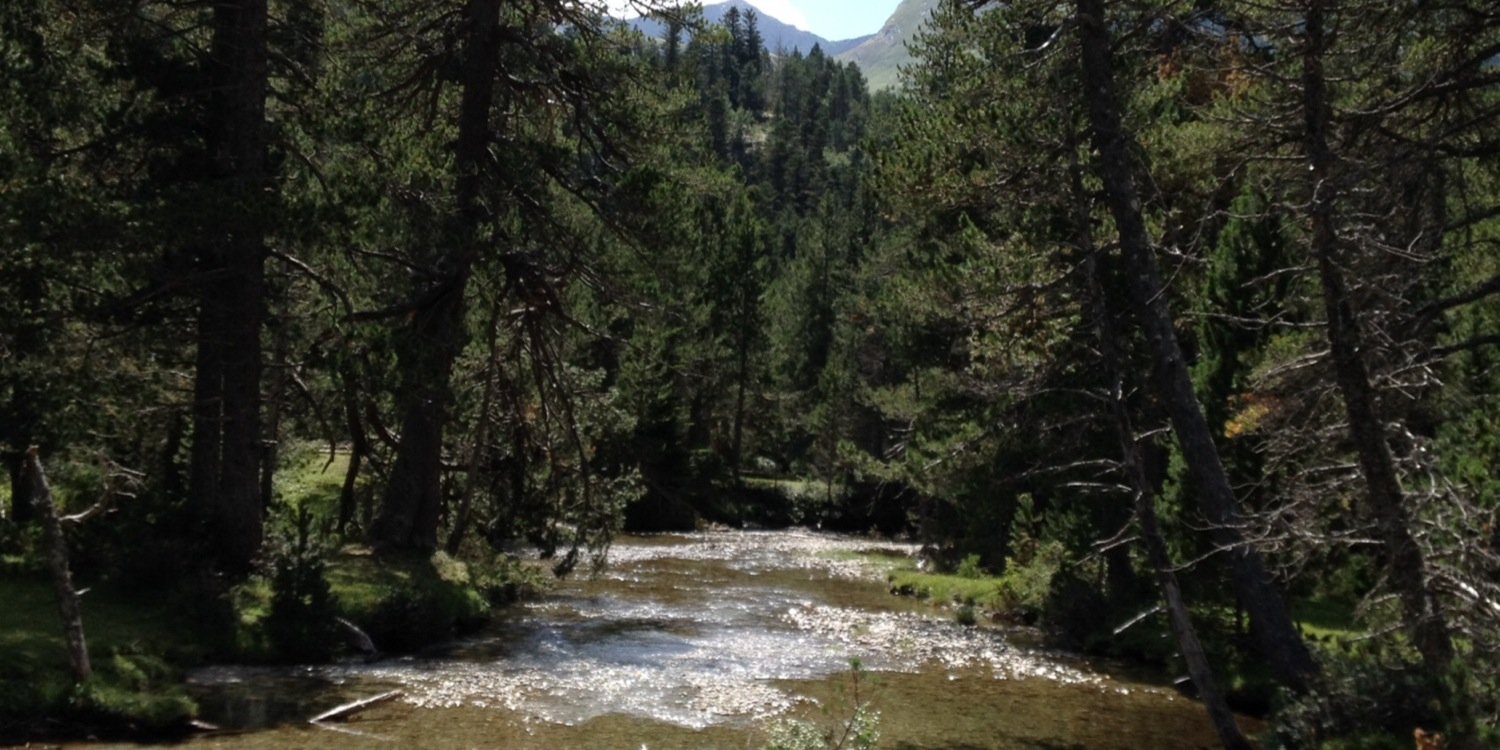 Adolfo R.C. ♻️ banner