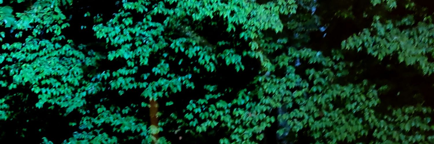 dskgo's profile banner image