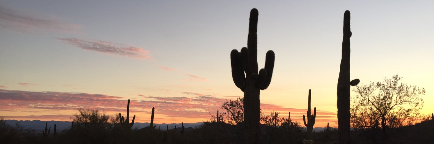 LaurelECole's profile banner image