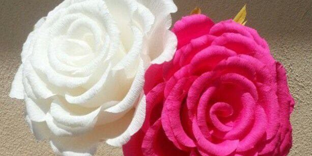 Breezemuscat's profile banner image