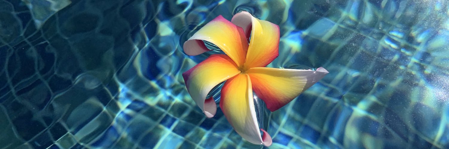 CardanoCanuck banner