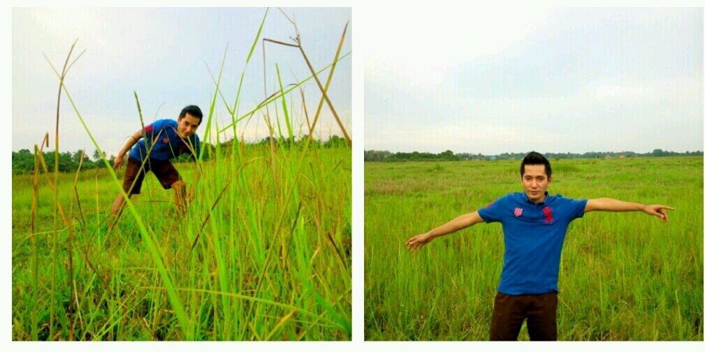 shafiotai's profile banner image