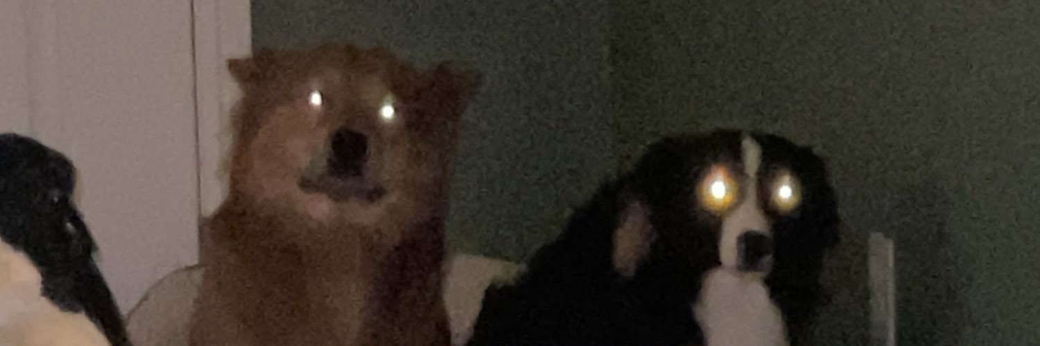 ericfchau's profile banner image