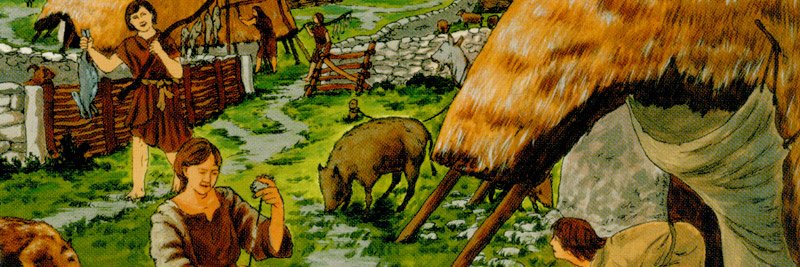 🌲TheFertilePeasant🌲's banner