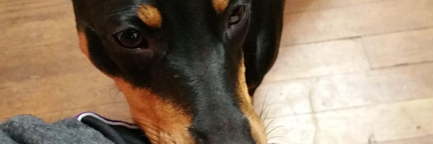 rrwell02's profile banner image