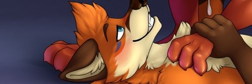 Galy Fox banner