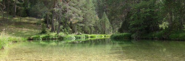 PardoSalud Profile Banner