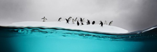 NatGeoPhotos Profile Banner