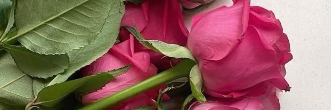 mohra0123's profile banner image