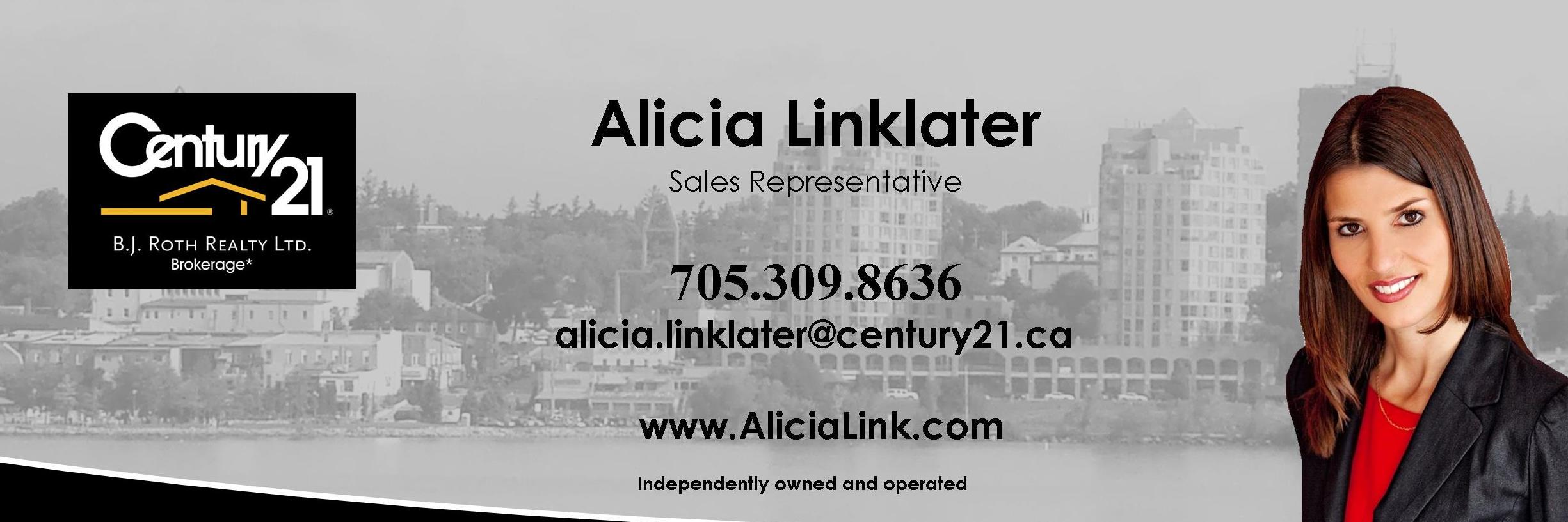 AliciaLinklater's profile banner image