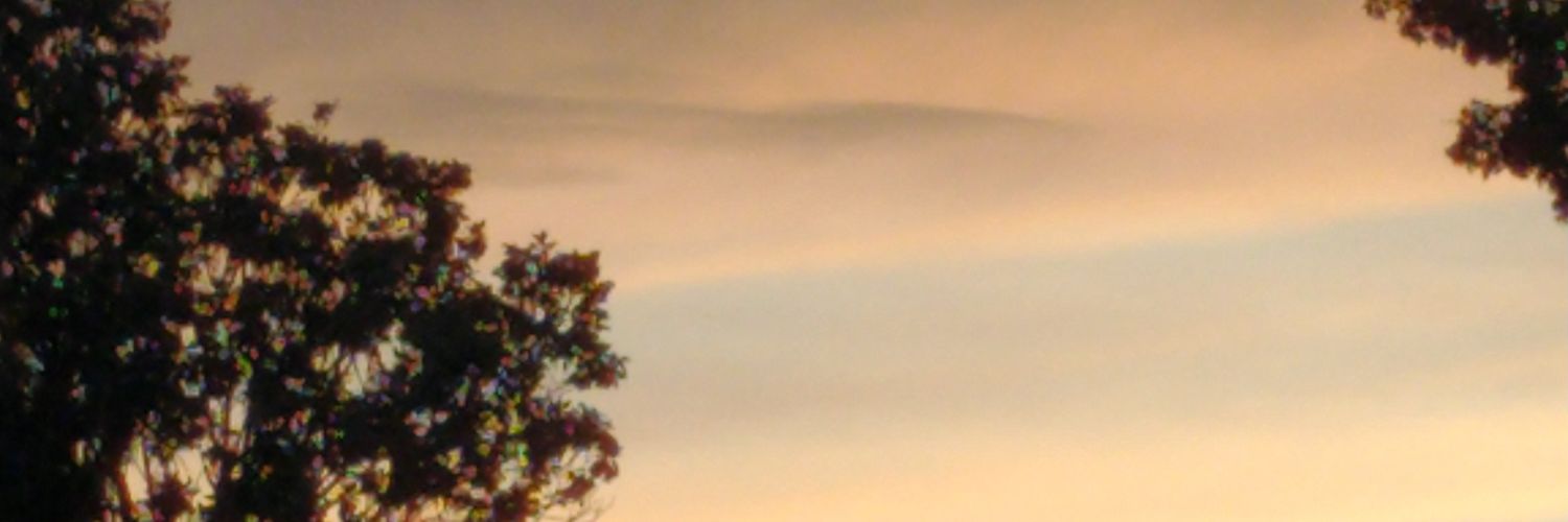 JustmeJane2's profile banner image