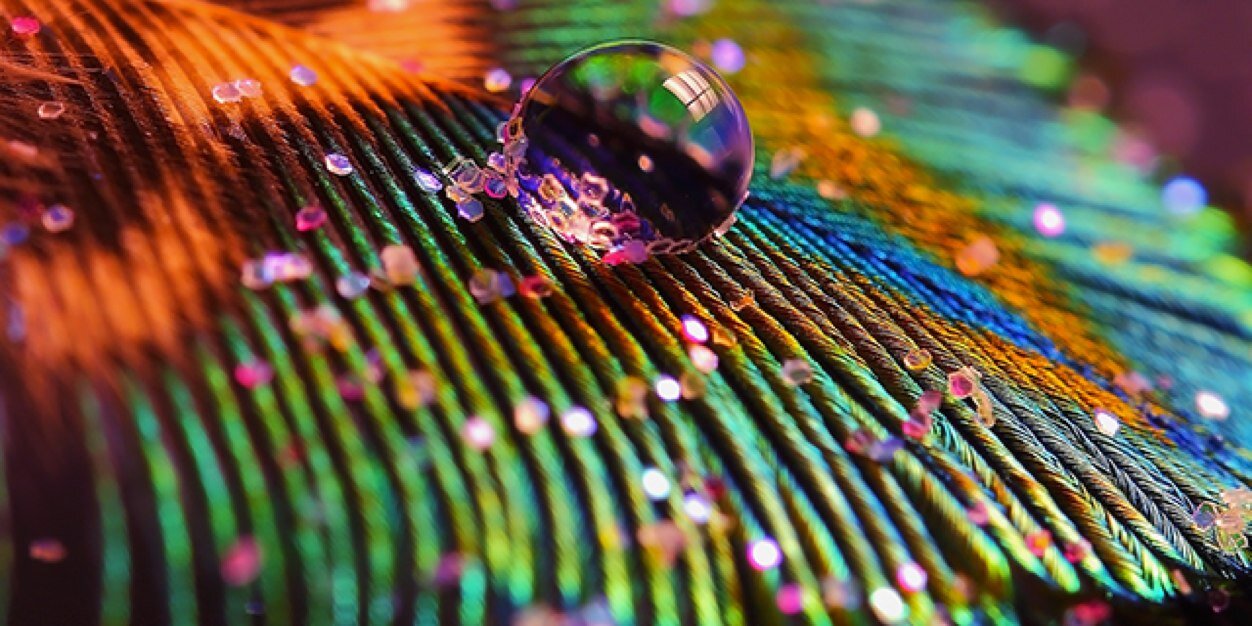 Maeeva_G's profile banner image