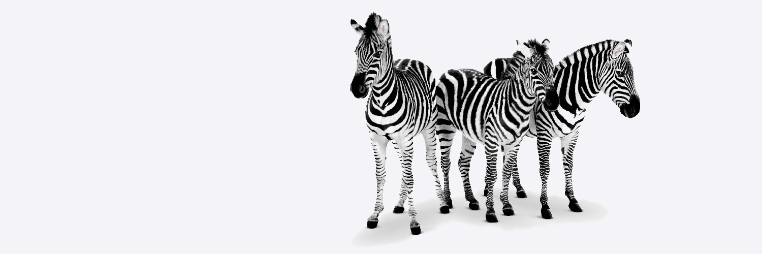 TELUS Support banner