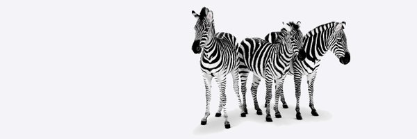 TELUSsupport Profile Banner