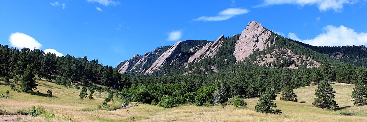 Peter Foltz banner
