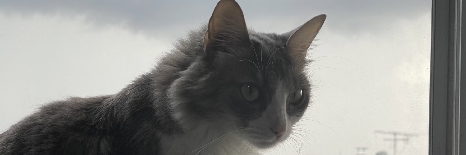 dnielcrucs's profile banner image