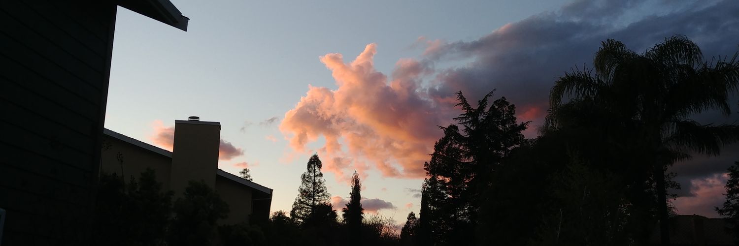 PlushMane's profile banner image