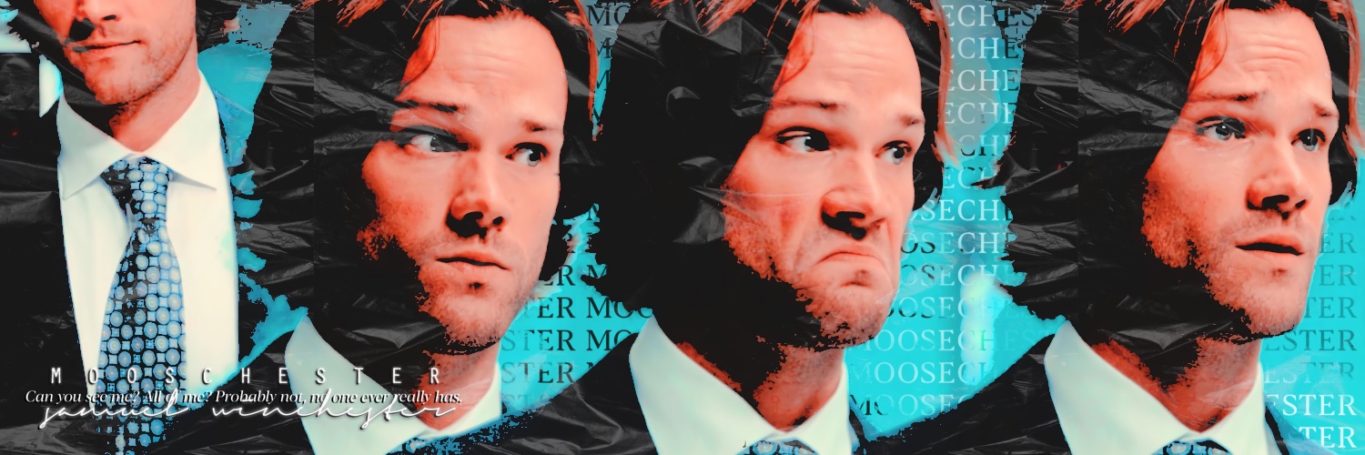 MOOSCHESTER's profile banner image