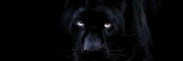 osewe_o's profile banner image