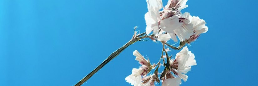 marissaacg's profile banner image