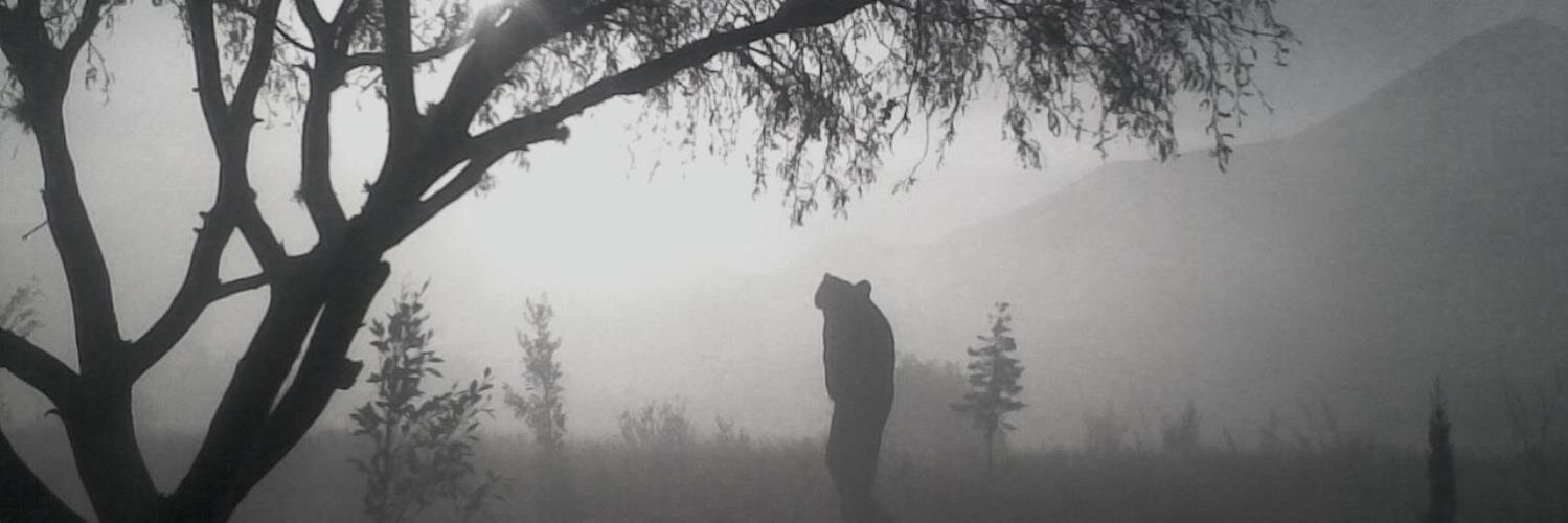 Teporingo asustado banner