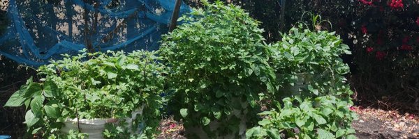 TuleVyema Profile Banner