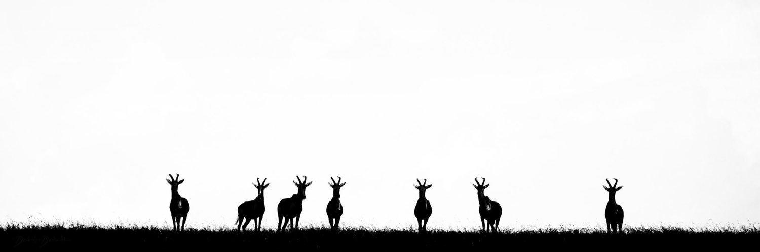 TSM20144's profile banner image