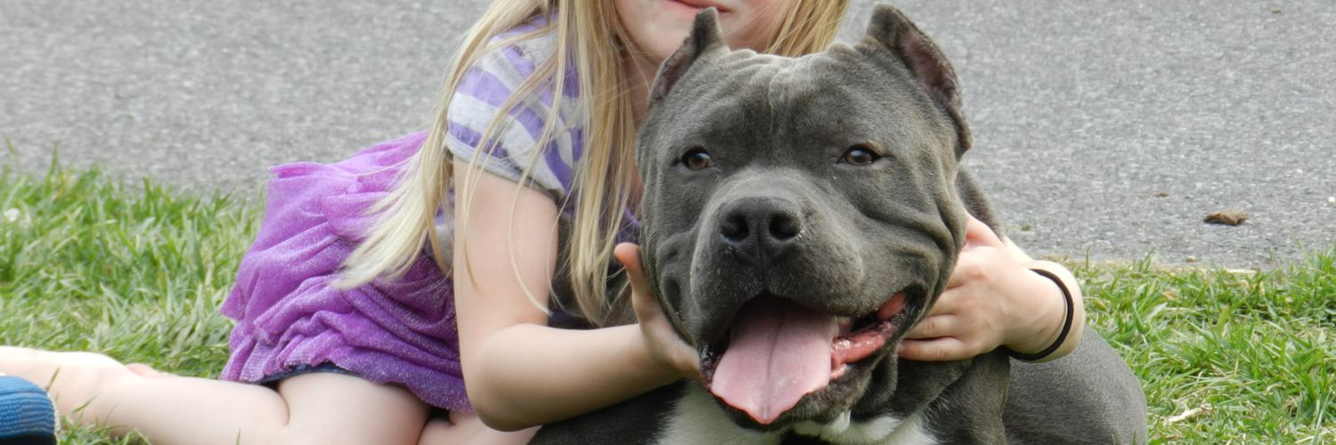 Kenneth Waltman banner