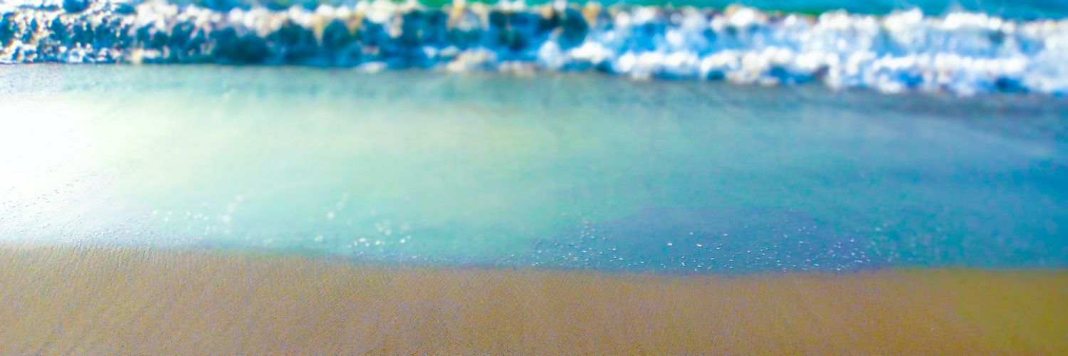 ellejung01's profile banner image