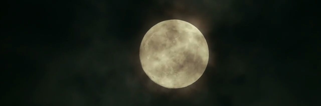 muandoy's profile banner image