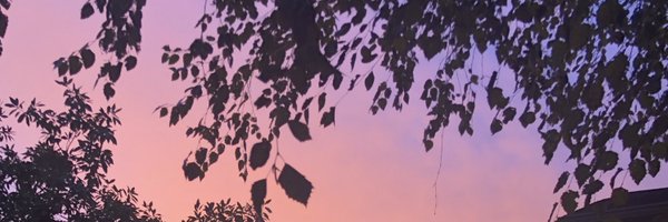 mandirudd1 Profile Banner