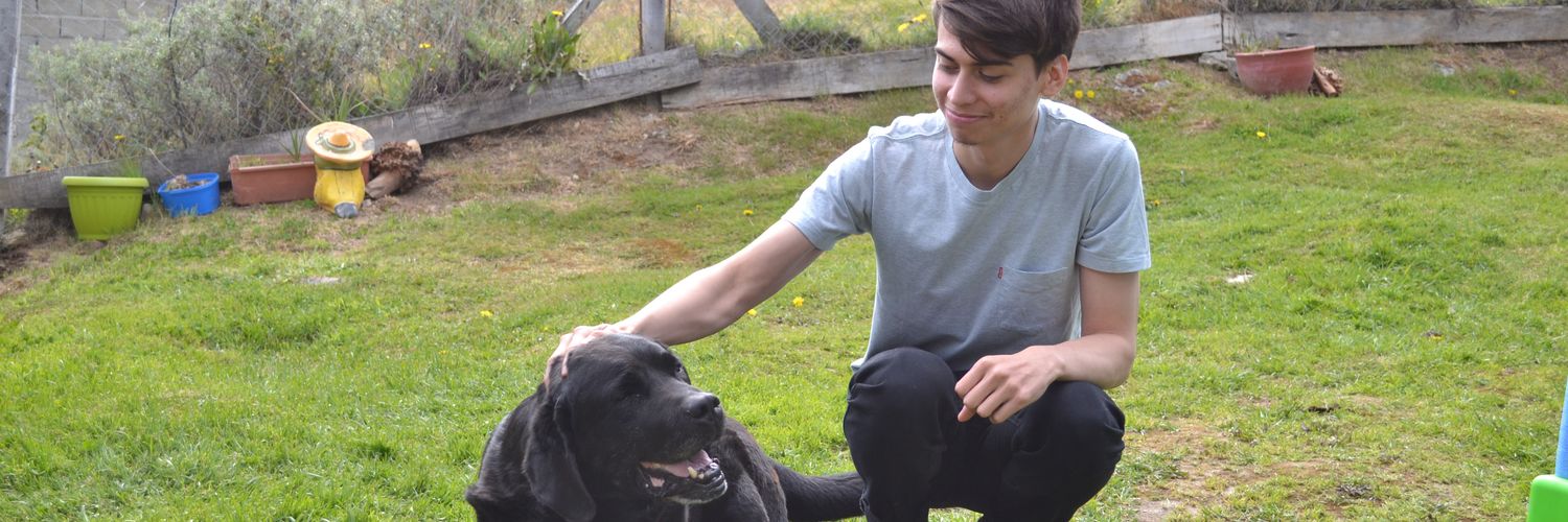 nehuiber's profile banner image