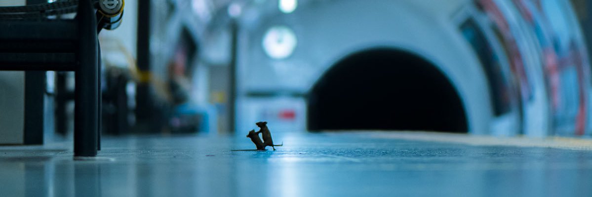 amythestlight's profile banner image