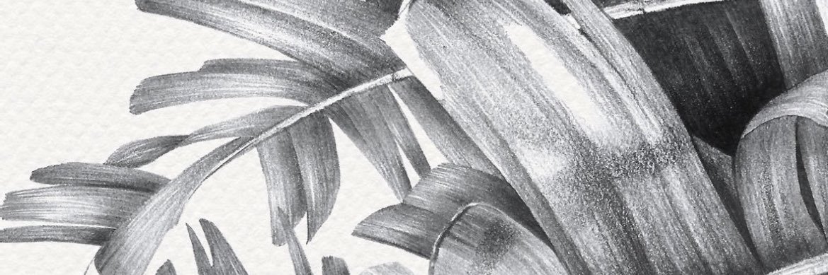 dvnpdrn's profile banner image